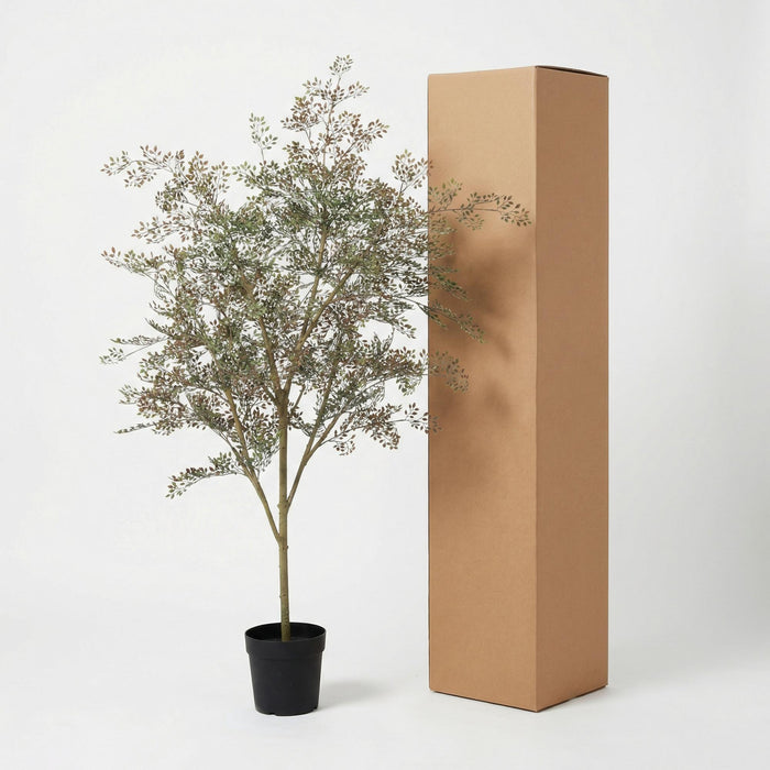 Kunstplant Bucida - ↕165cm