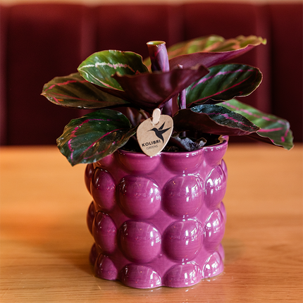 Kolibri Home | Cotton Shine decorative pot - Purple - Ø9cm