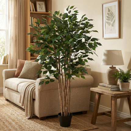 Artificial Ficus Benjamina plant - ↕150cm