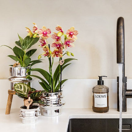 Kolibri Home | Chrome sierpot - Ø9cm