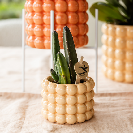Pot décoratif Colibris | Couleur pêche - Ø6cm