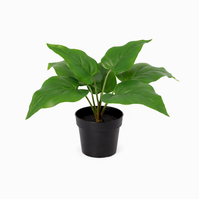 Philodendron artificiel vert impérial - ↕25cm