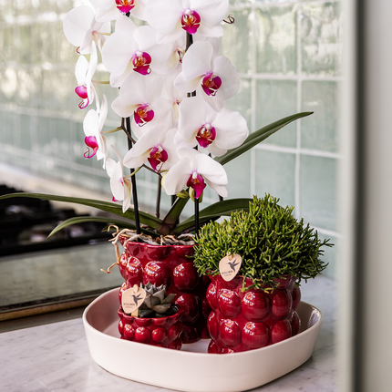 Kolibri Home | Cotton Shine decorative pot - Red - Ø12cm