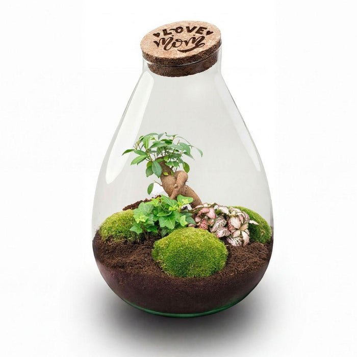 'LOVE MOM' terrarium Drop XL + gegraveerde kurk - Fles terrarium DIY kit – Ø24cm - ↕37cm - Moederdag