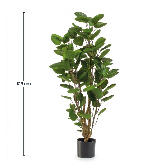 Plante artificielle - Arbre Polyscias - ↕105cm