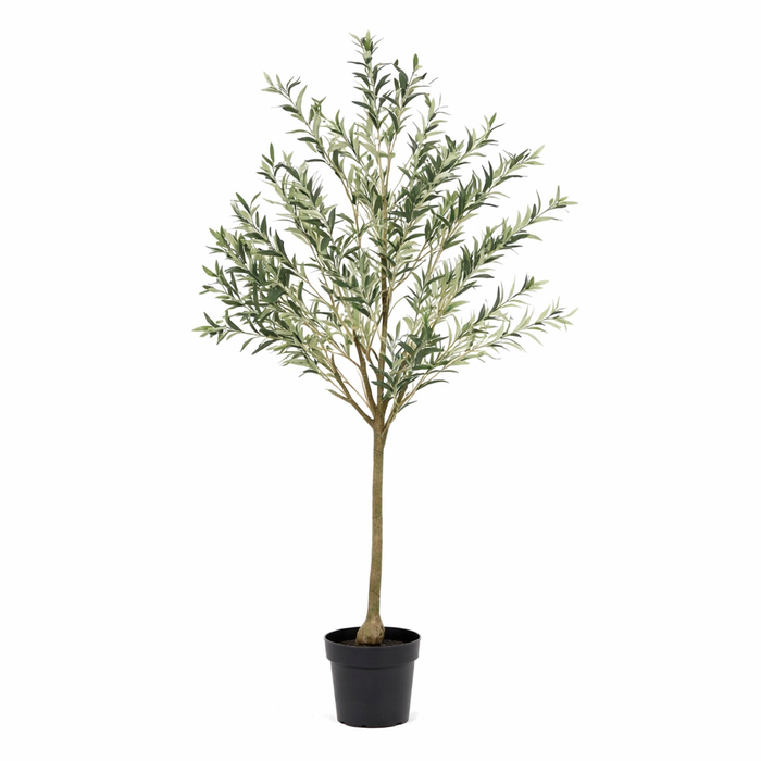 Kunstplant Olijfboom - ↕170cm