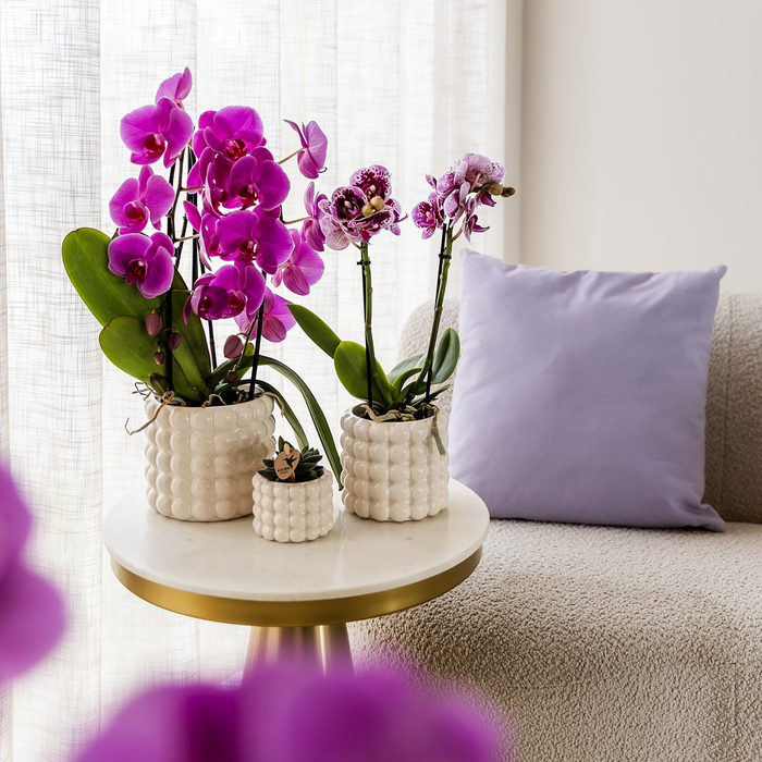 Kolibri Home | Poppy sierpot - White - Ø12cm