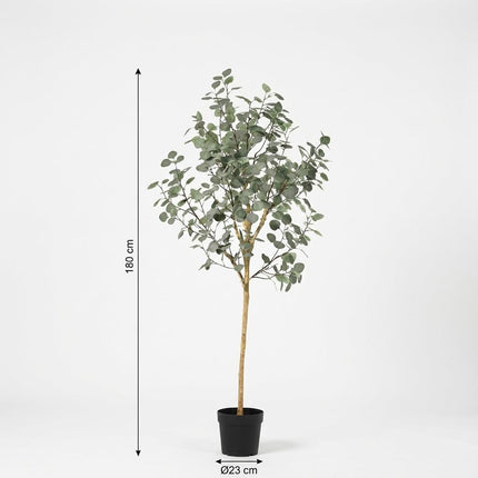 Sztuczna roślina Eukaliptus - ↕180cm