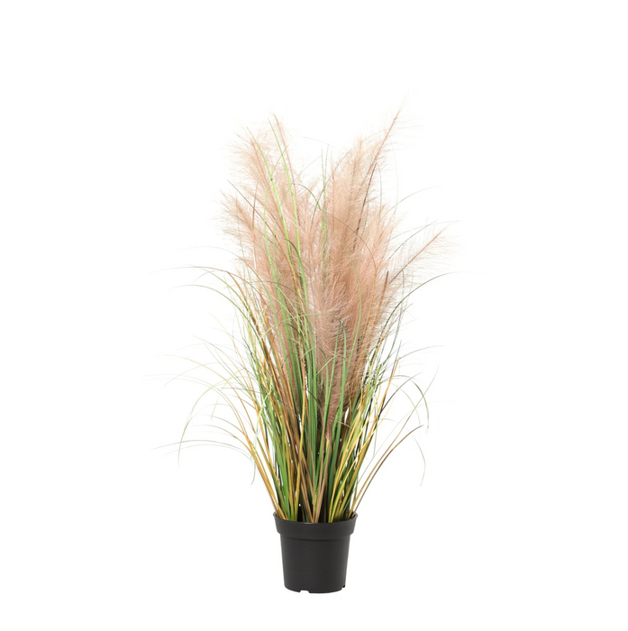 Kunstplant Phragmites grass - ↕95cm