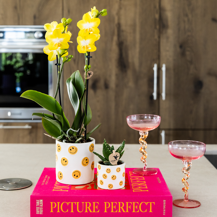 Kolibri Home | Smiley sierpot - Ø9cm