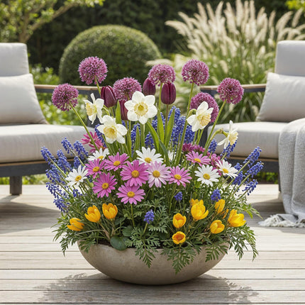 Bulbes de fleurs - Mélange de bulbes pour jardin - Variétés et couleurs variées - 125 pièces - Emballage cadeau