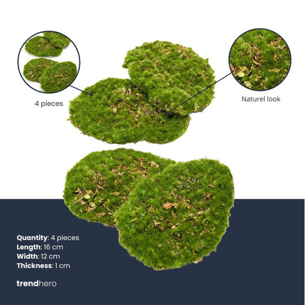 Assiette en mousse – Mousse verte – Lot de 4 – Mousse artificielle