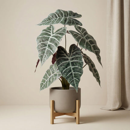 Artificial Alocasia bush plant in pot - ↕40cm