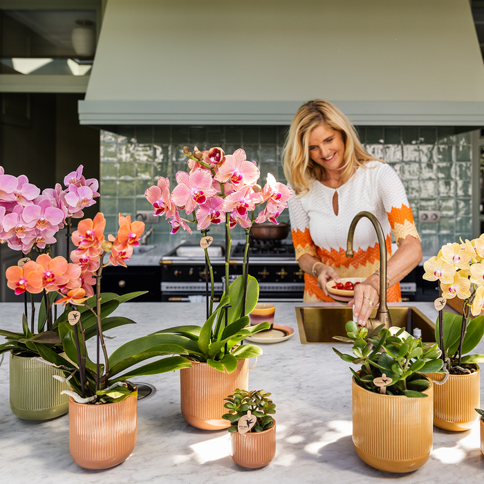 Kolibri Home | Flare sierpot - Ocher - Ø9cm