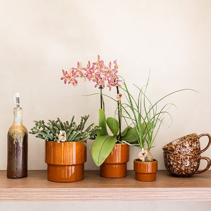 Kolibri Home | Timeless sierpot - Oranje - Ø12 cm