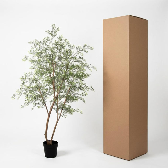 Kunstplant Cassia boom - ↕180cm