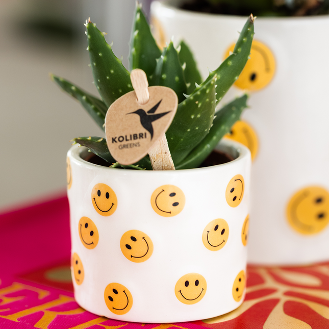 Kolibri Home | Maceta decorativa con carita sonriente - Ø6cm