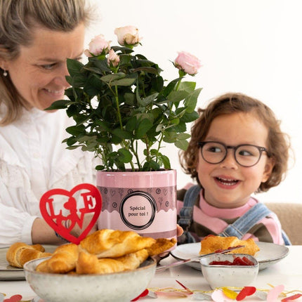 Rosa Hellrosa in P&amp;PURE „SPECIAL POUR TOI“-Verpackung – ↕30 cm – Ø12 cm