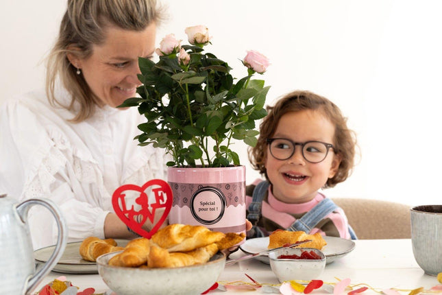 Rosa Hellrosa in P&amp;PURE „SPECIAL POUR TOI“-Verpackung – ↕30 cm – Ø12 cm