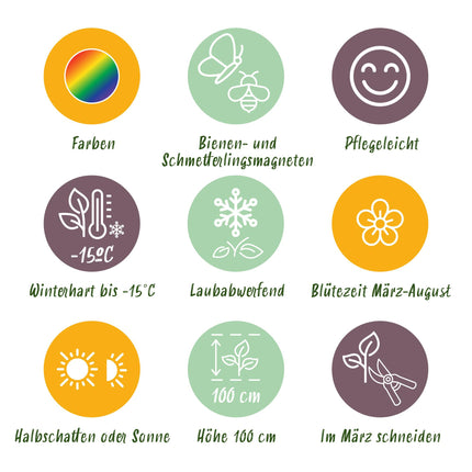 Borderpakket - Bijen en Vlinderlokkend - 24 Vaste planten - 3 m2 - Diversen kleuren - Weinig Onderhoud - Ø11cm
