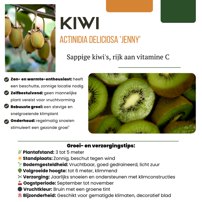 Fruitplanten mix BIO set van 3 verschillende soorten "Zoete oogst trio"