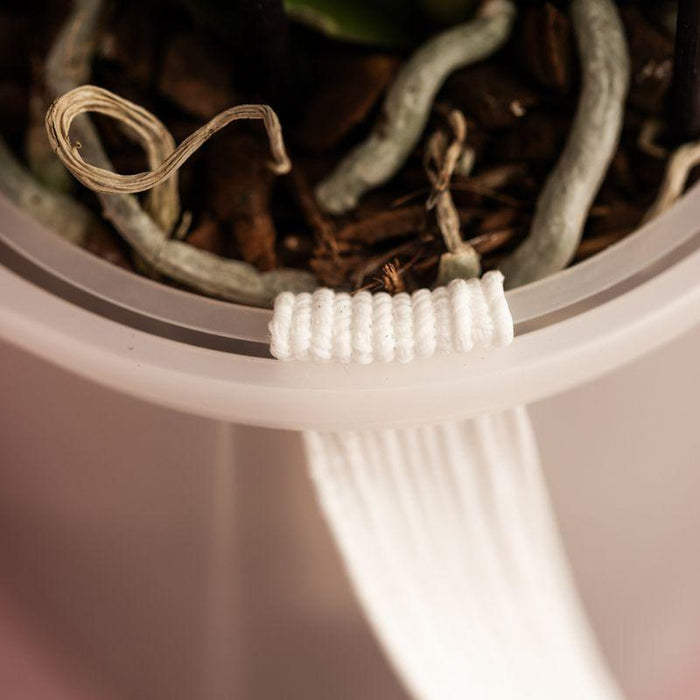 Kolibri Home | Como sierpot incl. watergeefsysteem - 3x Ø9cm