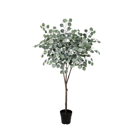 Sztuczna roślina Drzewo eukaliptusowe - ↕150cm