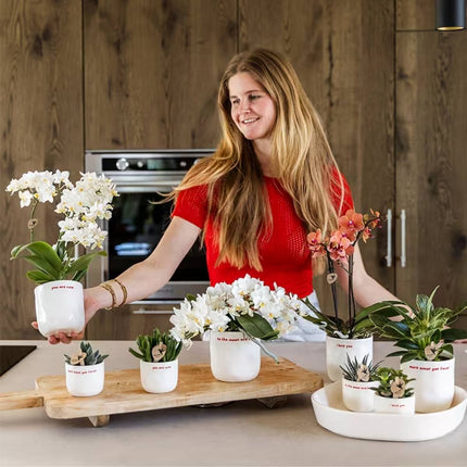 Kolibri Home | More Amor Por Favor sierpot - Ø6cm