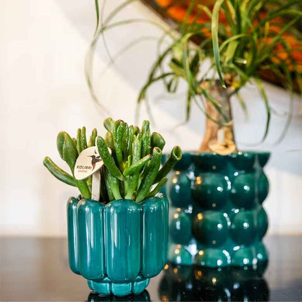 Kolibri Home | Retro sierpot - Groen - Ø6cm