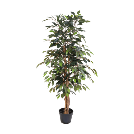 Kunstpflanze Ficus Benjamina-Pflanze – ↕130 cm