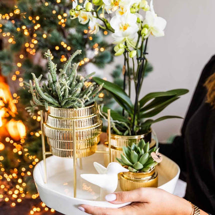 Kolibri Home | Allure Shiny sierpot - Goud - Ø6cm
