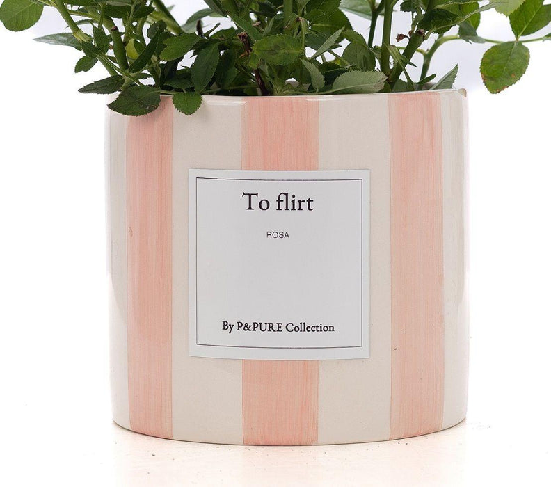 Rosa Light Pink Gift "To Flirt" met wenskaart - Ø12cm - ↕30cm
