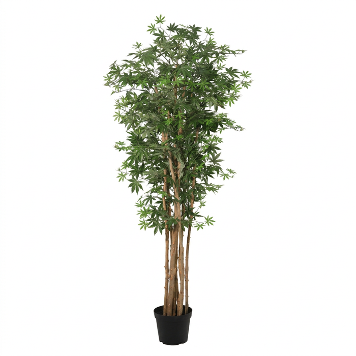 Plante artificielle Acer palmatum - ↕180cm