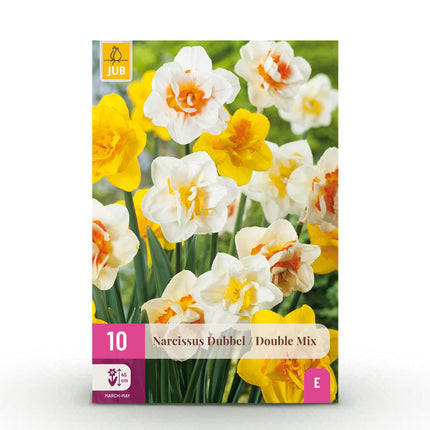 Blumenzwiebeln – Gefüllte Narzissenmischung – Gelb und Weiß – 10 Stück – Zwiebelgröße 12/14 – XXL-Packung
