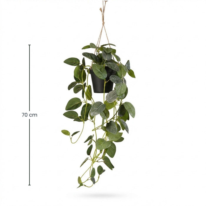 Fittonia artificielle - plante suspendue en pot - ↕70 cm