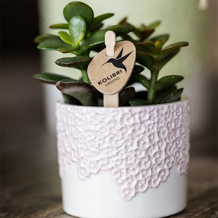 Kolibri Home | Bloom decorative pot - Pink - Ø6cm