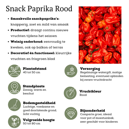Rode plukgroente mix van 3 planten - Cherry tomaat - Rode snack paprika - Rode hete peper plant - ↕45cm - Ø14cm