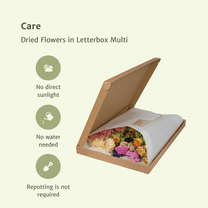 Tørrede blomster i postkasse - Multi