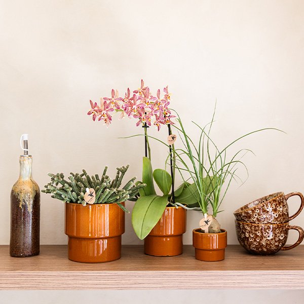 Kolibri Home | Timeless sierpot - Oranje - Ø6 cm