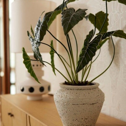 Sztuczna roślina Alocasia - ↕80cm