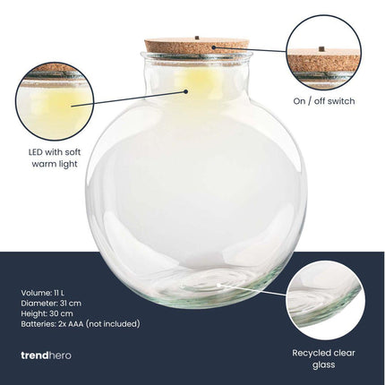 Terrarium fles met kurk - Bolder Bob - Ø 30 cm ↑ 31 cm - Zonder LED-kurk