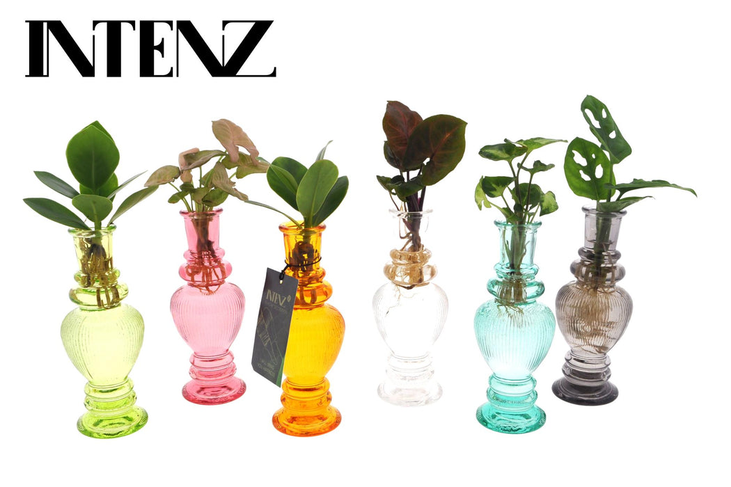 Verre Mix In Venice - Ø7cm - ↕20cm