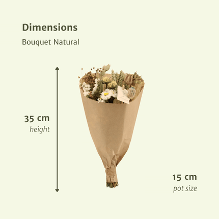 Ramo de flores secas naturales - Ø15cm - ↕35cm