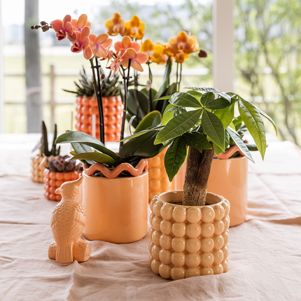 Pot décoratif Colibris | Couleur pêche - Ø9cm