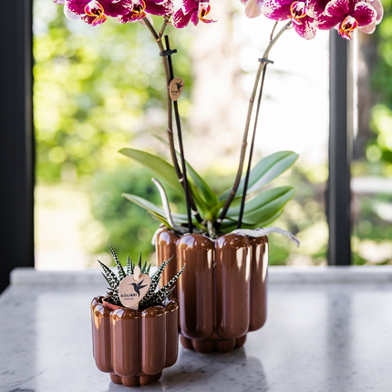 Kolibri Home | Retro Shine decorative pot - Brown - Ø6cm