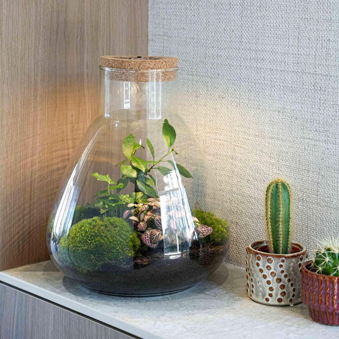 'LOVE MOM' terrarium Sam + gegraveerde kurk met licht - Fles terrarium DIY kit - Ø24.5cm - ↕30cm - Moederdag