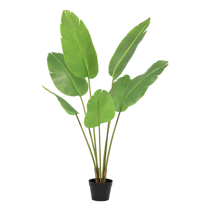 Kunstplant Strelitzia Nicolai - ↕135cm
