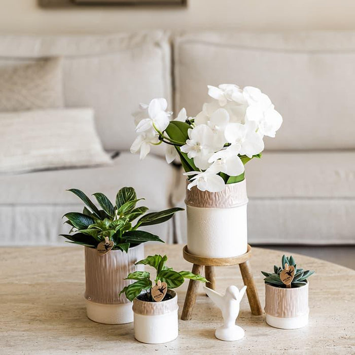 Kolibri Home | Bamboo sierpot - Sand - Ø6cm