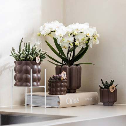 Kolibri Home | Doniczka dekoracyjna w stylu retro - Brązowa - Ø6 cm