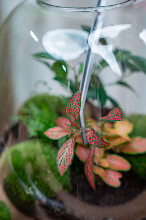 Terrarium pincet - Metaal - 26 cm lang